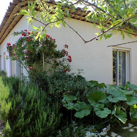 Le 275 Villa La Colle-sur-Loup Exterior photo